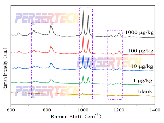 65ddb94098247.png 65ddb94098247.png