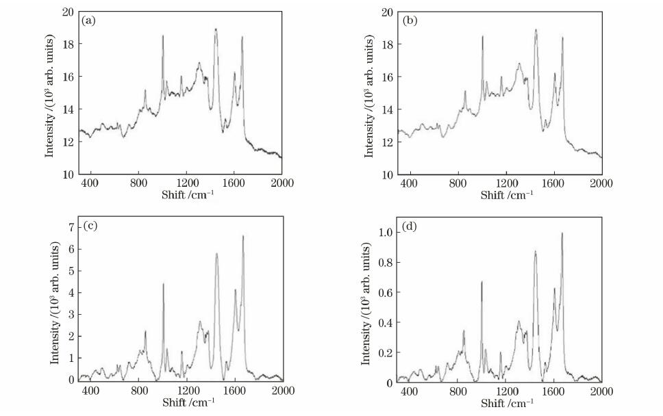 65ddafc4d61d6.jpg 65ddafc4d61d6.jpg