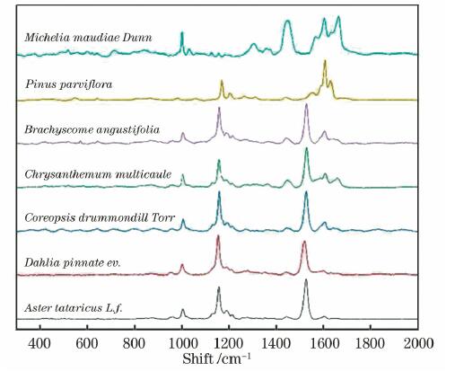 65ddafcf8ba9e.jpg 65ddafcf8ba9e.jpg