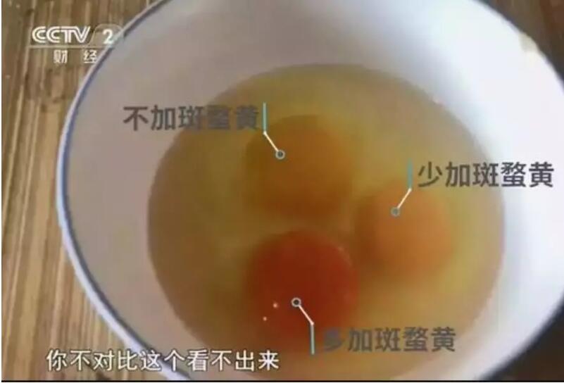 65dd971825eb5.jpg 65dd971825eb5.jpg