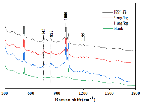 65ded52a65def.png 65ded52a65def.png