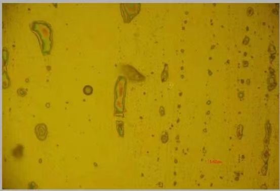 65fa8da3f0150.jpg 70545844633141616c6c7278586f6371584d593254513d3d.jpg