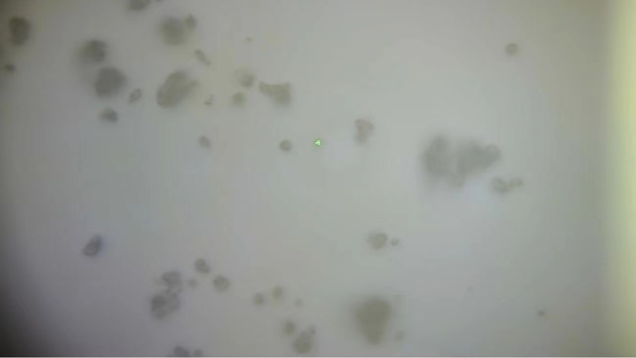 65fa8da79f972.jpg 765736425a616e38762f434b6b5a697051384f3243673d3d.jpg