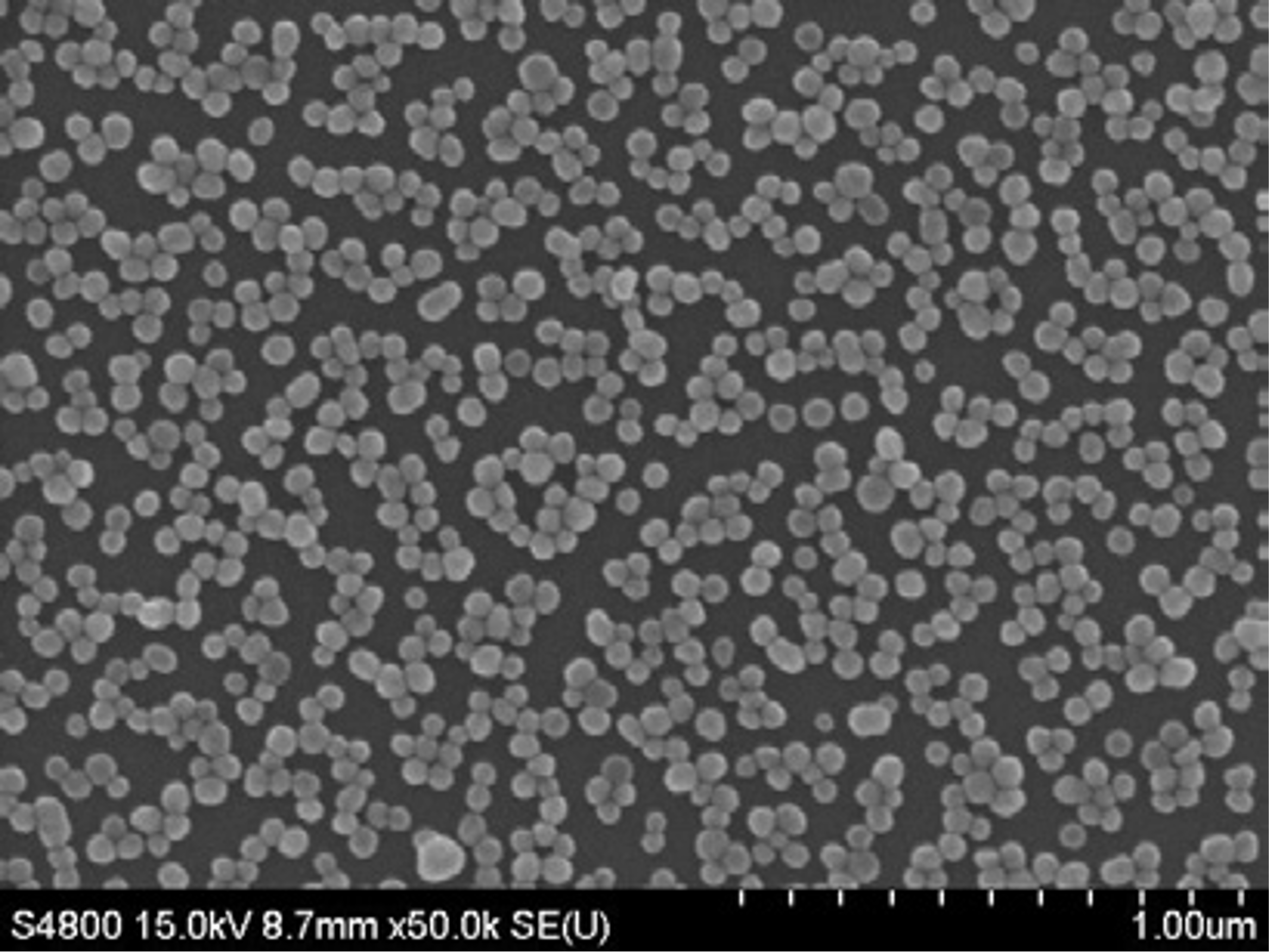 65e93838b8b9a.png 65e93838b8b9a.png