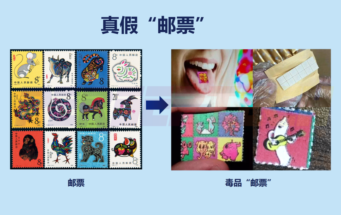 65de8ea8374cd.png 65de8ea8374cd.png