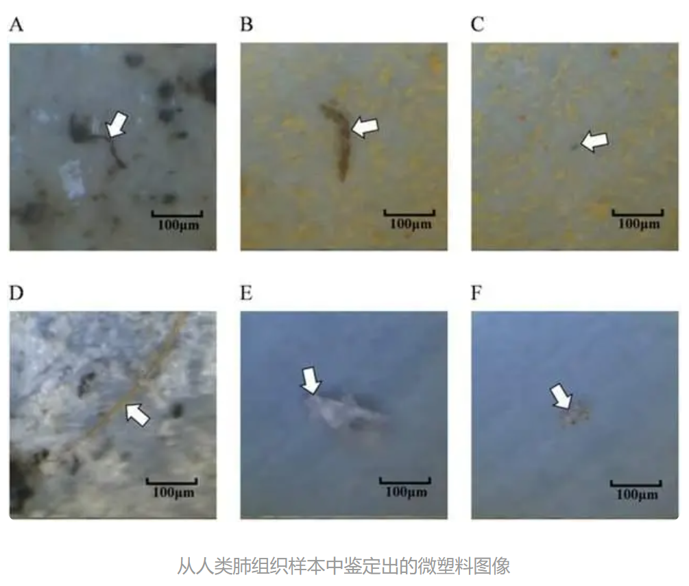 65de84baaf112.png 65de84baaf112.png