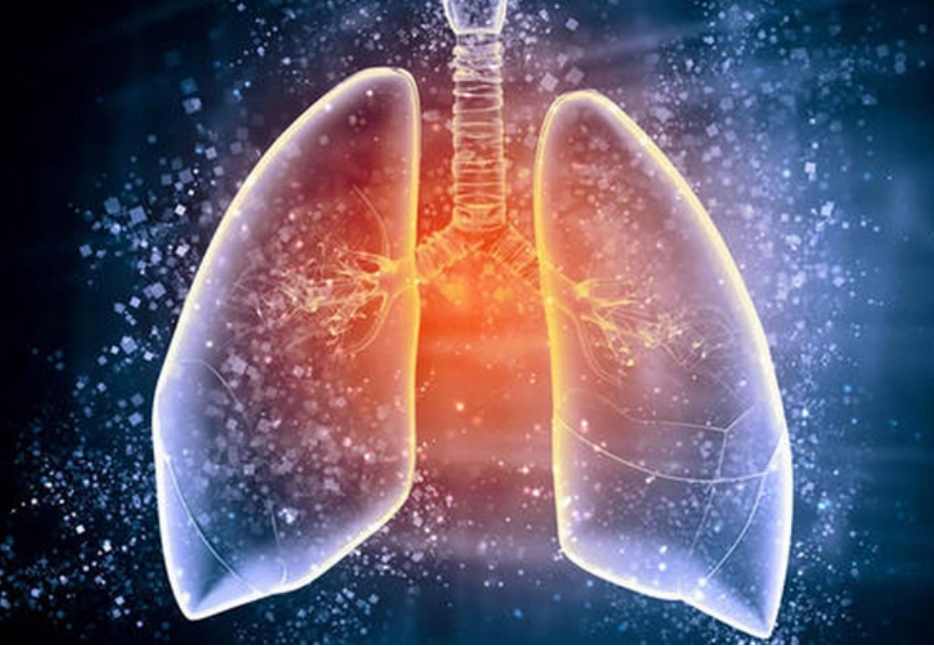 65de85116959f.png 65de85116959f.png