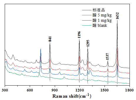 1-20102009563SD.png 1-20102009563SD.png