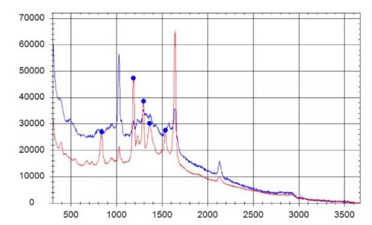 图1. 祛痘本草液1ppm甲硝唑加标样品以及空白样品的拉曼谱图.jpg 图1. 祛痘本草液1ppm甲硝唑加标样品以及空白样品的拉曼谱图.jpg