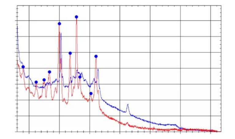 图2. 祛痘本草液2ppm联苯苄唑加标样品以及空白样品的拉曼谱图.jpg 图2. 祛痘本草液2ppm联苯苄唑加标样品以及空白样品的拉曼谱图.jpg