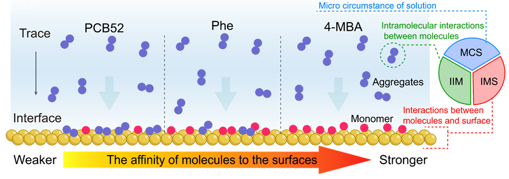 图1. 多种相互作用决定溶质分子在界面上存在状态的示意图.png