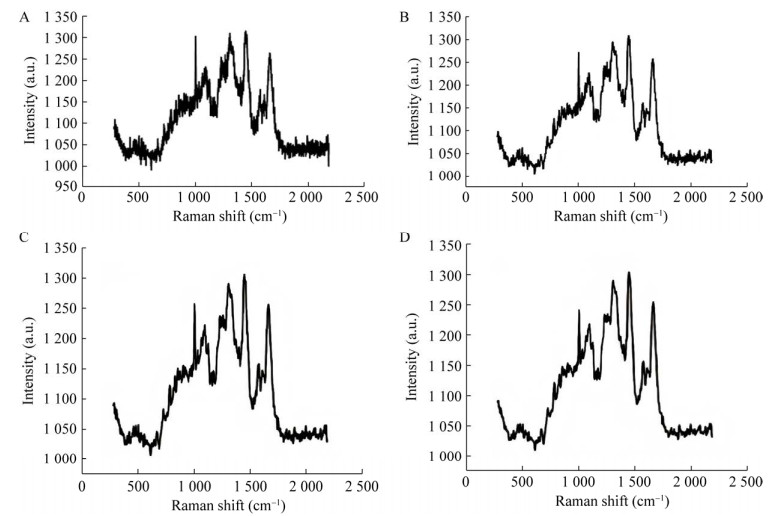 图 3 数据预处理前后拉曼光谱对比.jpg 图 3 数据预处理前后拉曼光谱对比.jpg