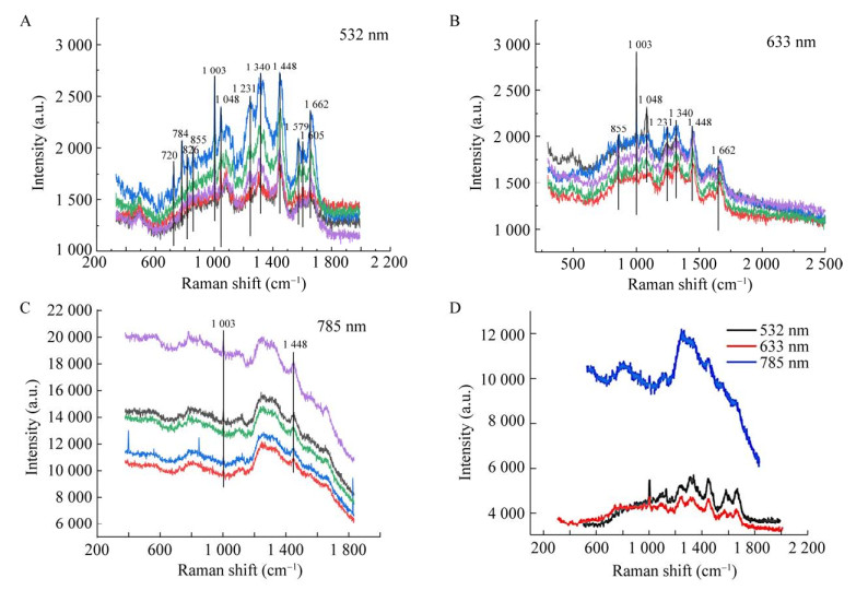图 4 不同激发波长激光下Escherichia coli拉曼重复性测试.jpg 图 4 不同激发波长激光下Escherichia coli拉曼重复性测试.jpg