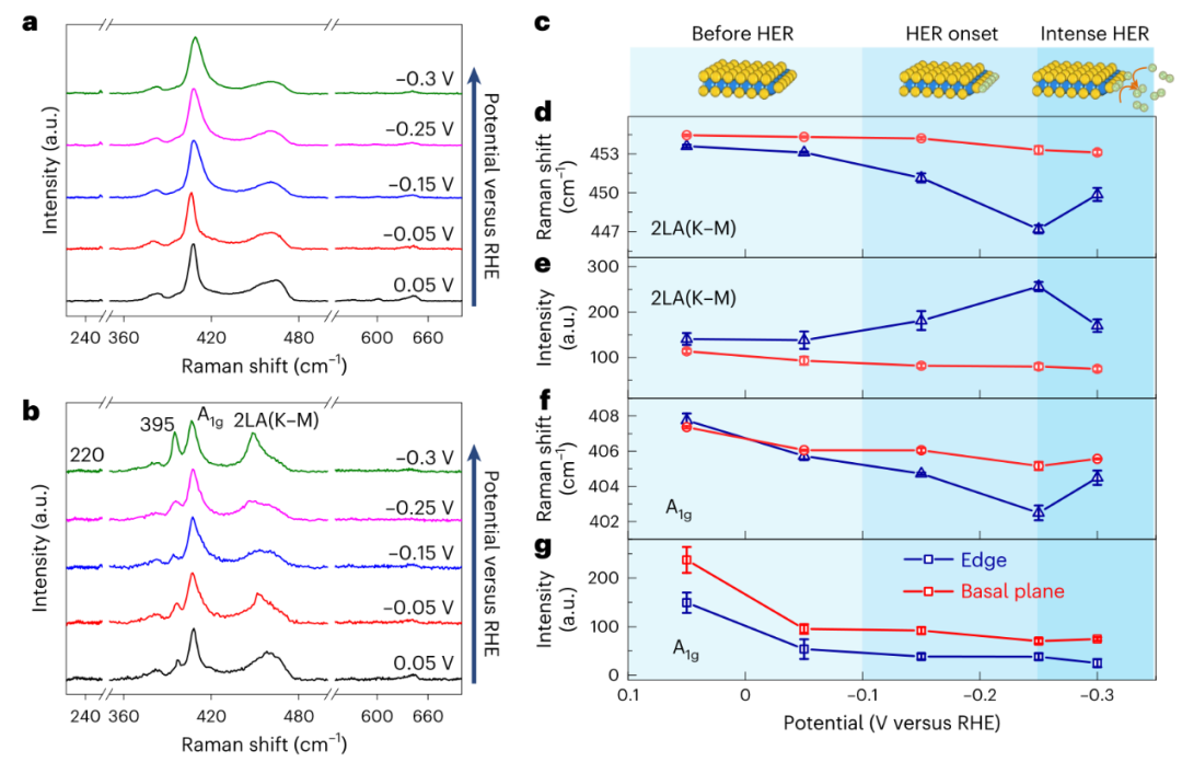 图1:HER过程中MoS2的EC-TERS光谱演变。.png 图1:HER过程中MoS2的EC-TERS光谱演变。.png