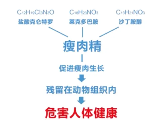 1740705929075.jpg 1740705929075.jpg